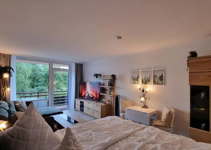 Daire Boeckchen - Vier Jahreszeiten Goslar